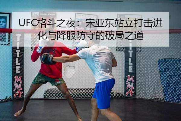 UFC格斗之夜：宋亚东站立打击进化与降服防守的破局之道