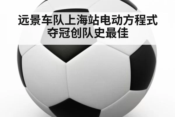 远景车队上海站电动方程式夺冠创队史最佳